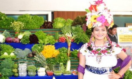 ANUNCIA SECTUR CDMX CHINAMPERÃAS, UN ENCUENTRO ENTRE HORTICULTORES Y RESTAURANTEROS