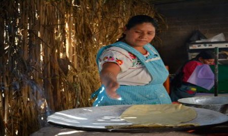 ABREN INSCRIPCIONES AL DIPLOMADO COCINAS Y CULTURA ALIMENTARIA EN MÃ‰XICO