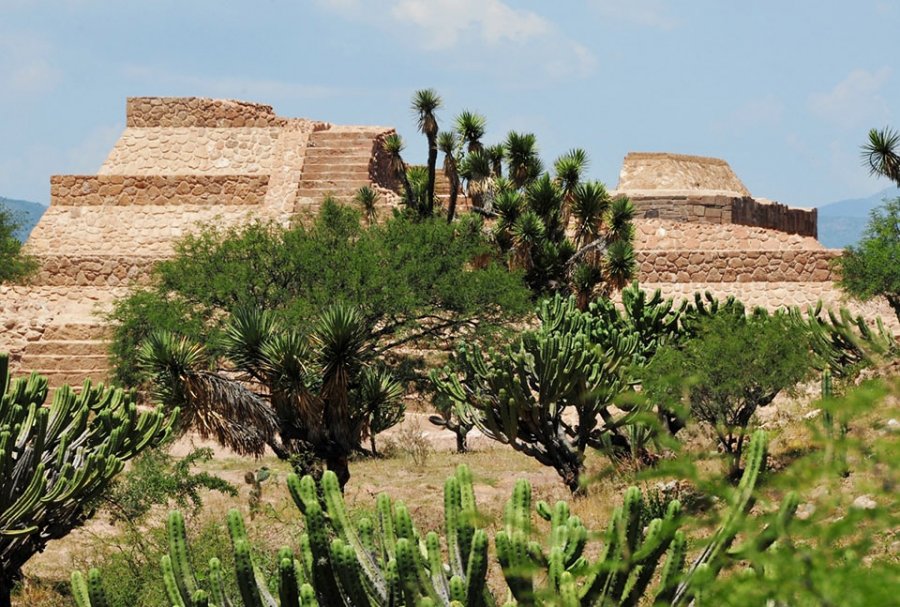 ESTUDIOS TRANSDISCIPLINARIOS PONEN AL VALLE DEL MEZQUITAL EN EL MAPA