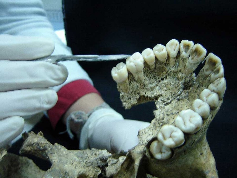 INVESTIGACIÃ“N ENRIQUECE CONOCIMIENTO SOBRE EL SACRIFICIO HUMANO EN TENOCHTITLAN