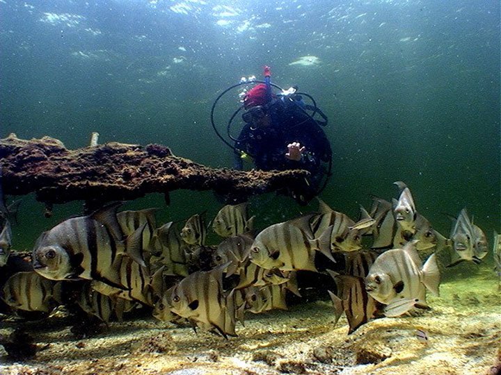 CAMPECHE, SEDE DEL 3ER. COLOQUIO INTERNACIONAL ESTUDIOS SOBRE LA CULTURA MARÍTIMA EN MÉXICO