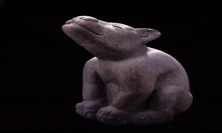 â€œXÃ“LOTL, LUZ EN EL CAMINOâ€ BUSCA RESIGNIFICAR AL ANCESTRAL COMPAÃ‘ERO DEL HOMBRE