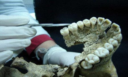 INVESTIGACIÃ“N ENRIQUECE CONOCIMIENTO SOBRE EL SACRIFICIO HUMANO EN TENOCHTITLAN
