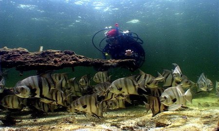 CAMPECHE, SEDE DEL 3ER. COLOQUIO INTERNACIONAL ESTUDIOS SOBRE LA CULTURA MARÃTIMA EN MÃ‰XICO