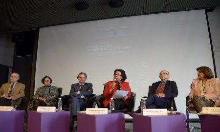 REFLEXIONAN SOBRE LA CONSERVACIÃ“N Y EL DESARROLLO SUSTENTABLE DE LOS CENTROS HISTÃ“RICOS
