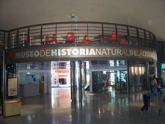 Se conmemora el 50 aniversario del Museo de Historia Natural y Cultura Ambiental con boleto especial del Metro
