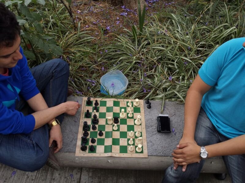 BUSCAN INCORPORAR EL AJEDREZ A LA CURRÃCULA ESCOLAR DEL DISTRITO FEDERAL