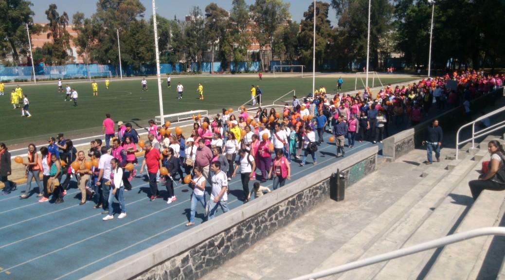 Lleva a cabo Sedeso Segunda Caminata a€œHe for Shea€