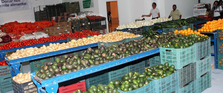 En el Banco de Alimentos de Central de Abasto de CDMX todos podemos participar