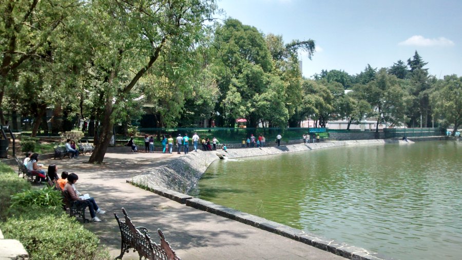 Avanza Gobierno de la CDMX en rehabilitación del Bosque de Chapultepec