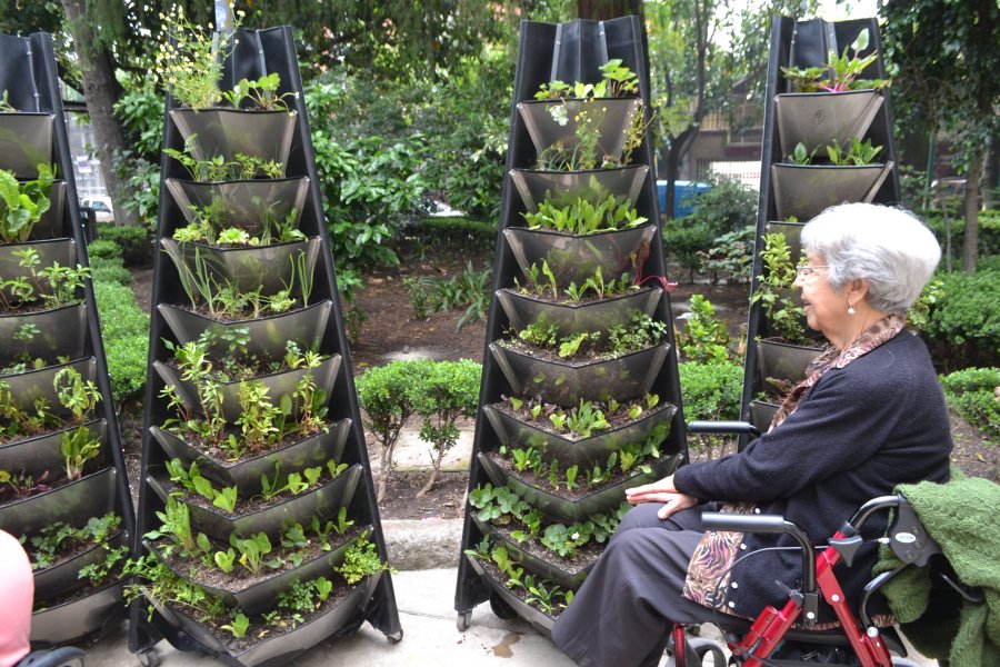 Entrega CDMX primeras Jardineras Agroalimentarias para llevar tema de lo rural a lo urbano