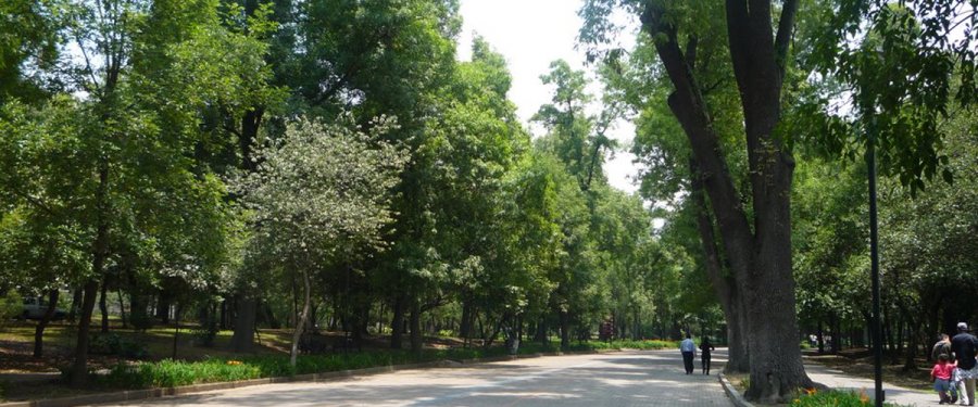 Checa las Actividades de fin de semana en la CDMX