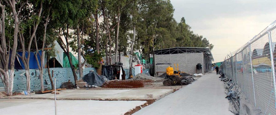 NUEVA IMAGEN EN FLORES Y HORTALIZAS DE CEDA CDMX CON EL MERCADO DE FOLLAJE