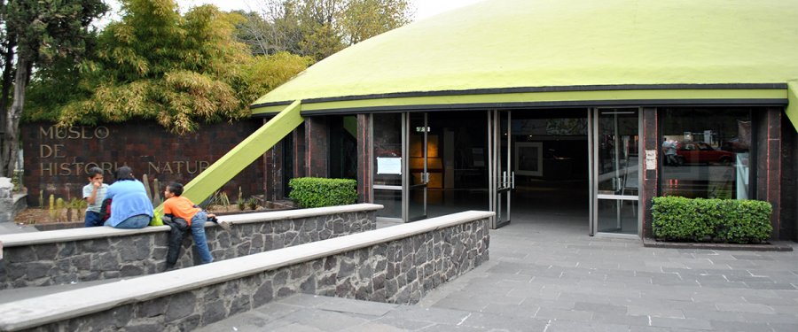 Actividades de fin de semana en la CDMX
