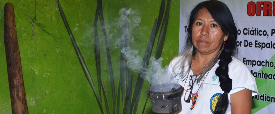 Casas de medicina tradicional, alternativas de atención para capitalinos