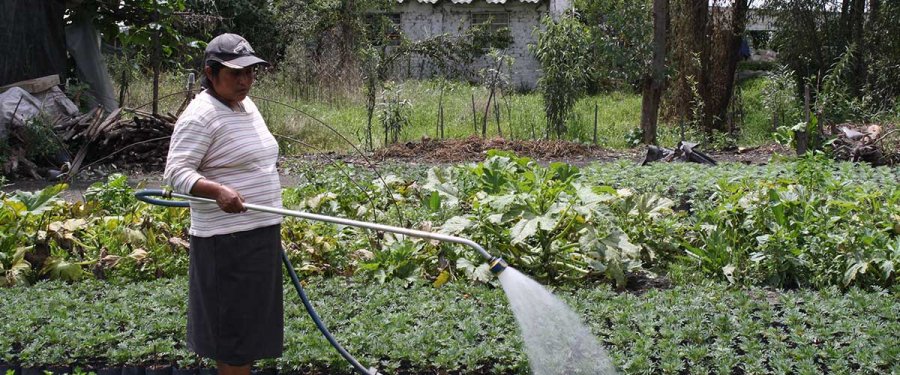 Apoya Gobierno CDMX proyectos de mujeres rurales