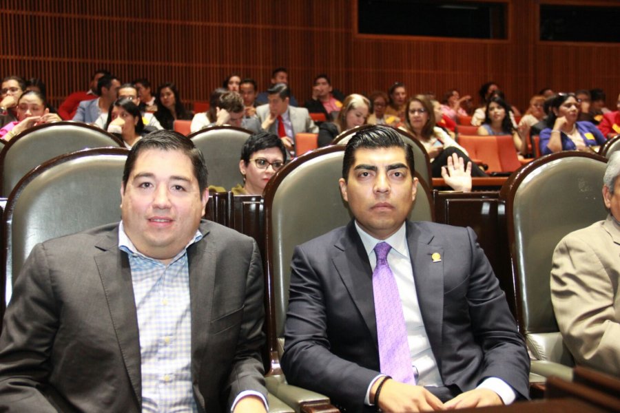 FORTALECEN ADOPCIONES NÃšCLEO FAMILIAR: PES