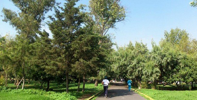 Extiende Gobierno de CDMX actividades culturales y recreativas al Bosque de San Juan de Aragón