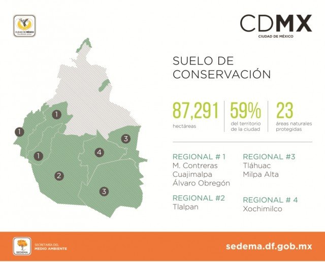Aumenta significativamente recuperación de suelos de conservación en CDMX