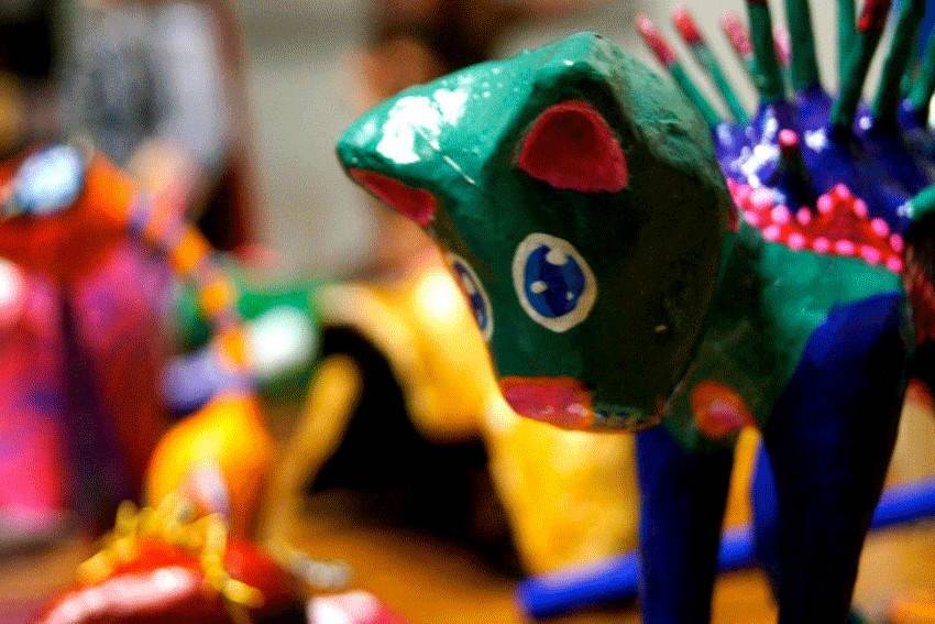 V. CARRANZA REALIZARÁ LA 2Aa FERIA DE LA CARTONERÍA