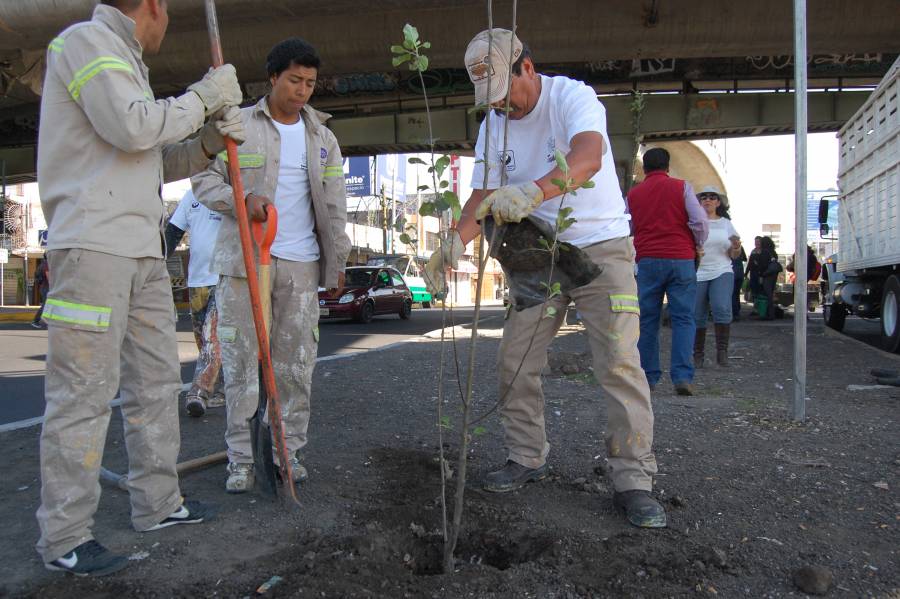 RECUPERAN VECINOS Y DELEGACIÓN IZTAPALAPA ESPACIOS PÚBLICOS