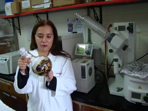 ESTUDIAN CIENTÍFICOS DEL IPN PLANTA TABASQUEÑA PARA TRATAR CÁNCER DE PRÓSTATA