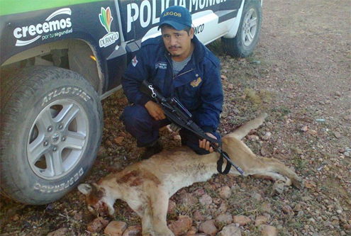 Policía mata a puma y presume fotos en Facebook