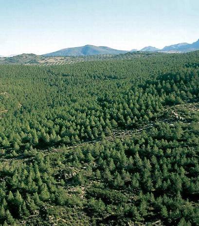 SENADO RESPALDA REFORMA SOBRE RECURSOS POR CAMBIO DE USO DE SUELO EN TERRENOS FORESTALES