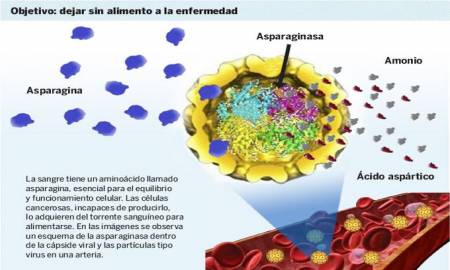 Desarrollan en la UNAM nanofÃ¡rmaco para combatir la leucemia