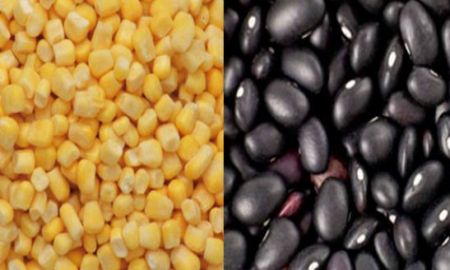 MÃ©xico presenta caÃ­da de precios en sus granos bÃ¡sicos