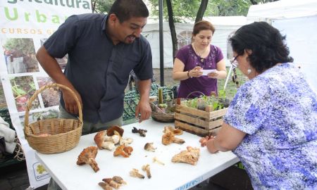 Asumir una cultura ambiental en CuauhtÃ©moc